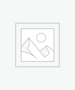 Giáo án tin 8 năng lực số
